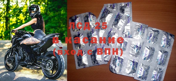 хмурый Пересвет