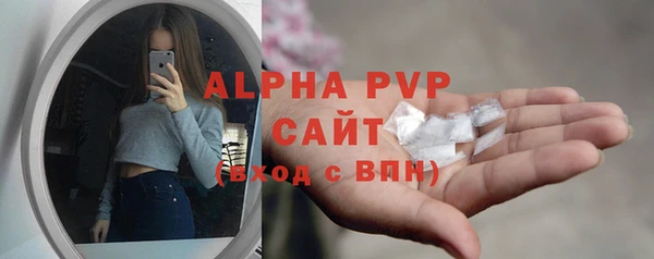 хмурый Пестово