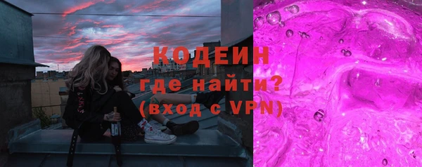 хмурый Пересвет